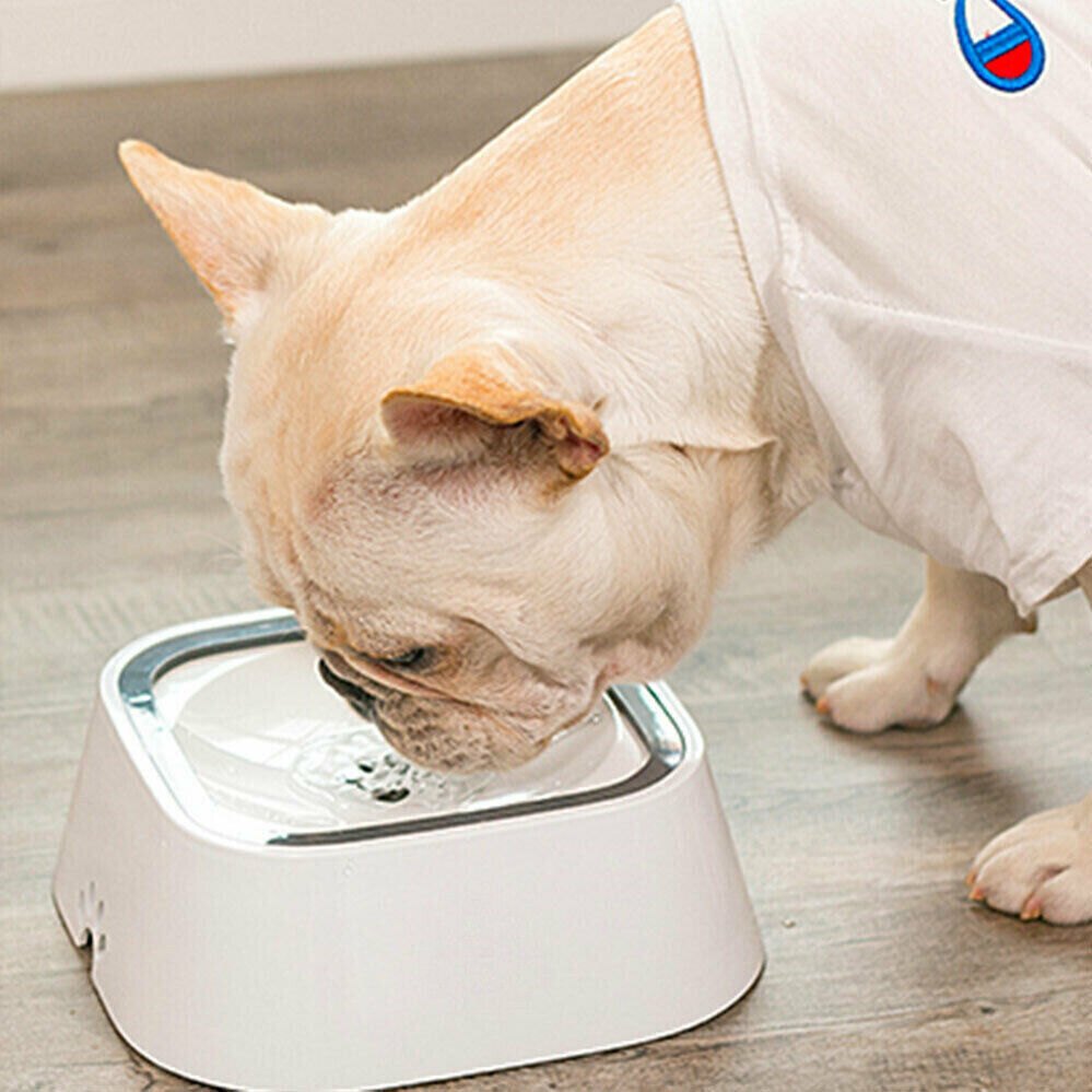 YES4PETS 1 x Medium Pet No Spill Feeder Bowl Dog Cat Puppy slow food Interactive Dish Dispenser - Image 10