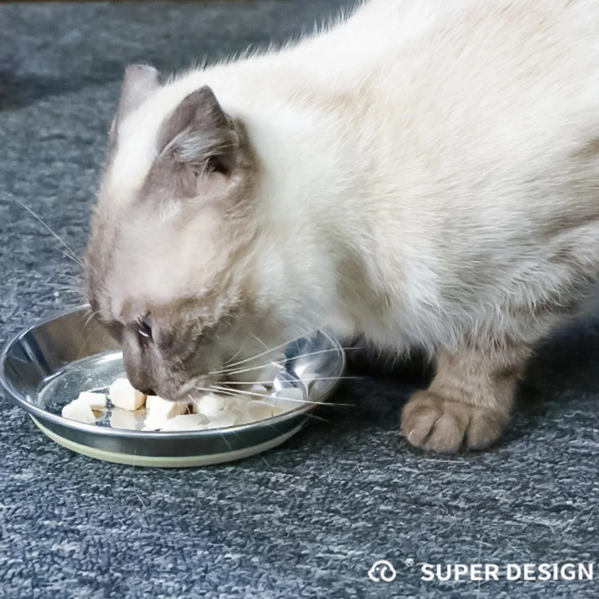 AntiSlip Cat Bowl Pet Food Basin Cat and Dog Feeding Bowl Universal Pet Dish - S - Image 6