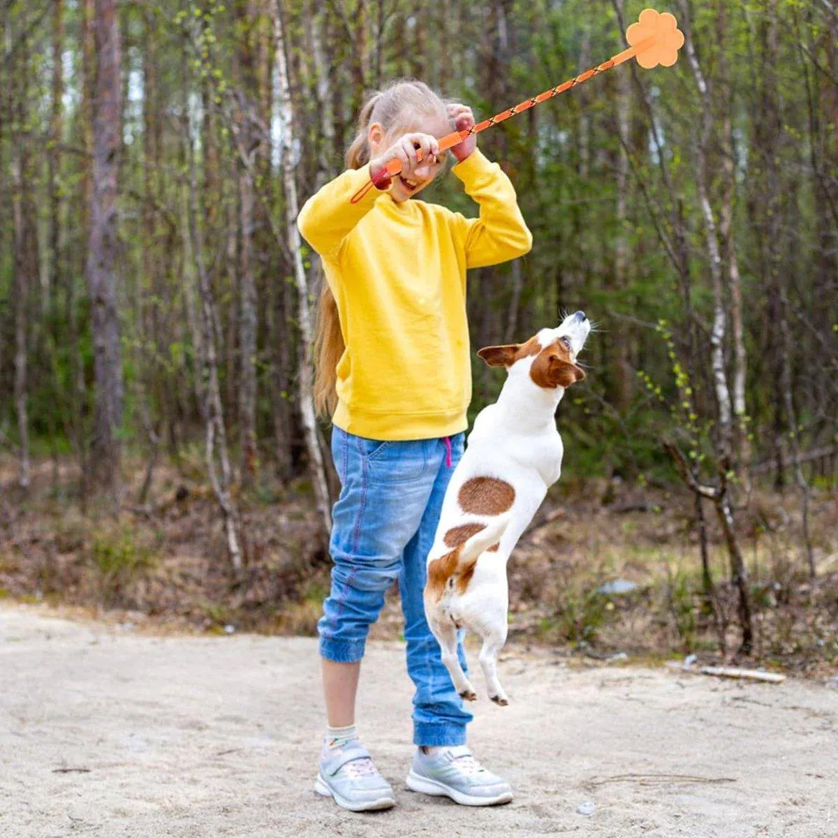 2pcs Dog Training Sticks for Dogs Pet Supplies Trainer Tools Canine Training - Orange - Image 10