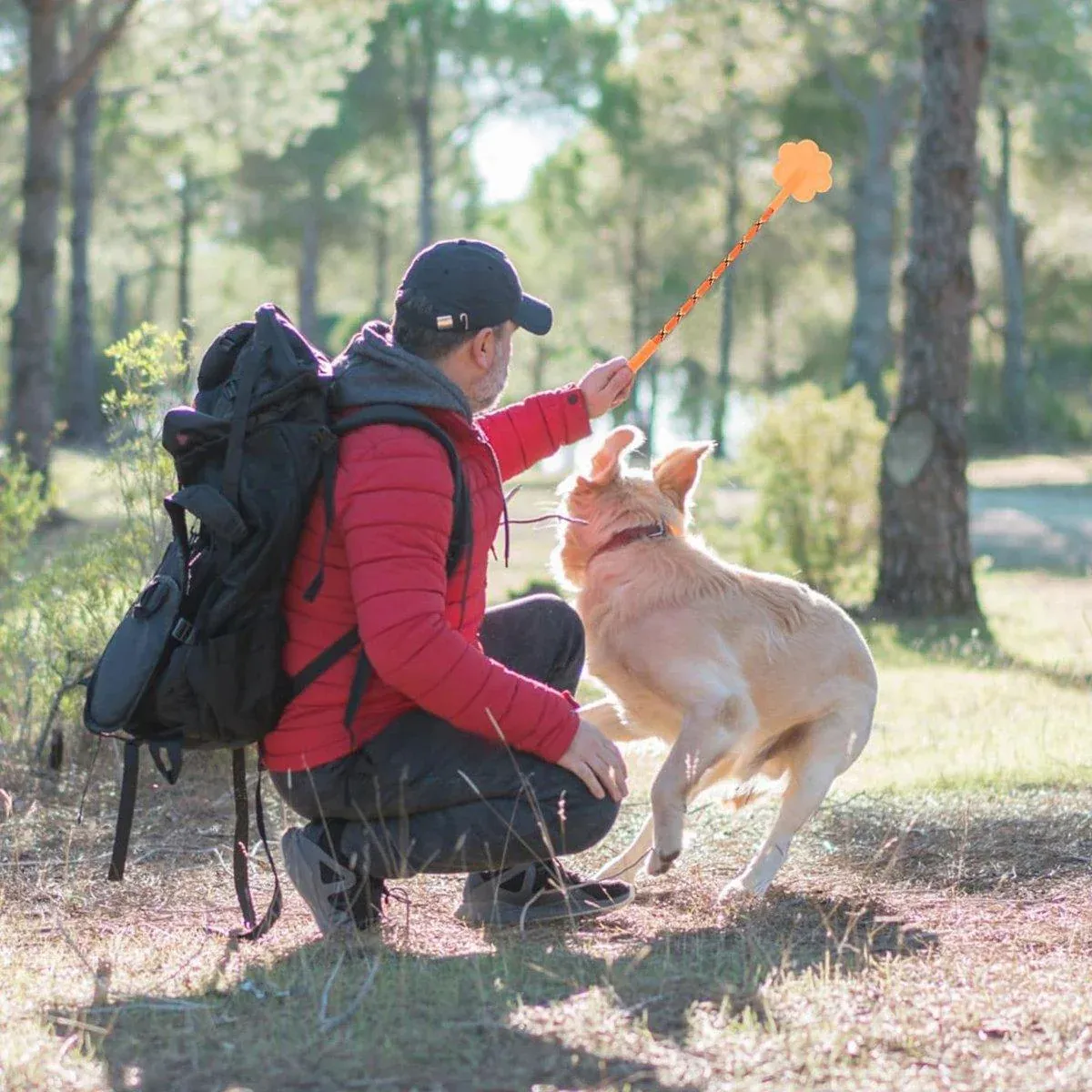 2pcs Dog Training Sticks for Dogs Pet Supplies Trainer Tools Canine Training - Orange - Image 11