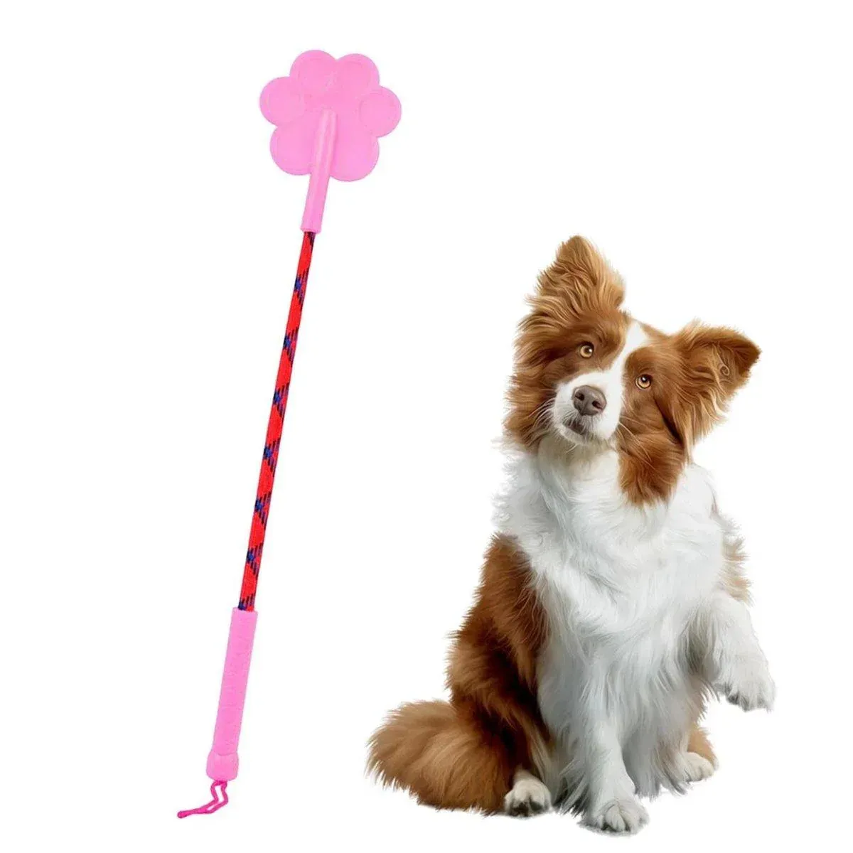2pcs Dog Training Sticks for Dogs Pet Supplies Trainer Tools Canine Training - Orange - Image 12