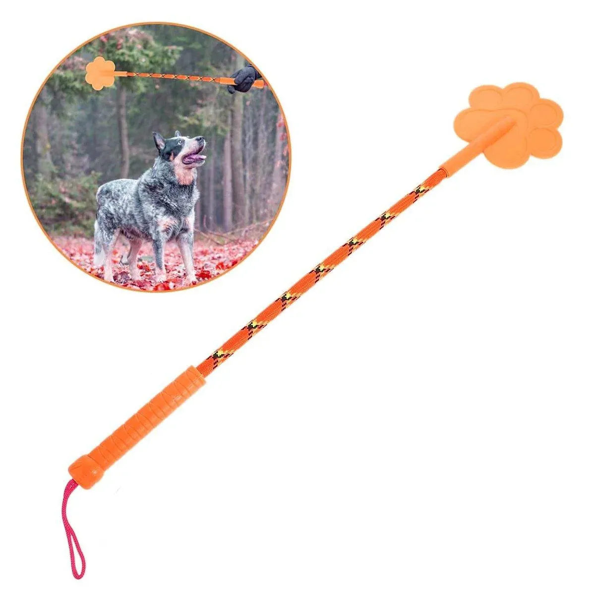 2pcs Dog Training Sticks for Dogs Pet Supplies Trainer Tools Canine Training - Orange - Image 13